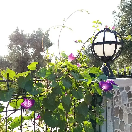 Yazduf Aile - Yazlik, Villa, Altinoluk, Akcay, Kaz Daglari Appartamento