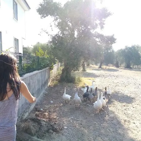 Appartamento Yazduf Aile - Yazlik, Villa, Altinoluk, Akcay, Kaz Daglari Akçay