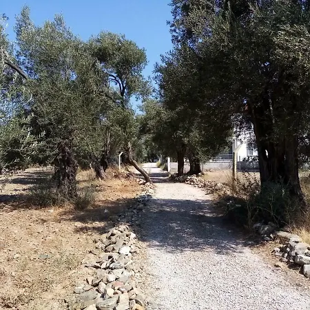 Appartamento Yazduf Aile - Yazlik, Villa, Altinoluk, Akcay, Kaz Daglari