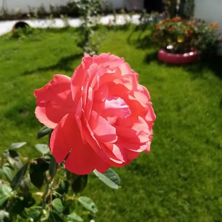 Appartamento Yazduf Aile - Yazlik, Villa, Altinoluk, Akcay, Kaz Daglari Akçay