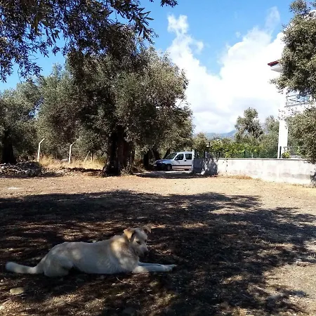 Yazduf Aile - Yazlik, Villa, Altinoluk, Akcay, Kaz Daglari Apartment *