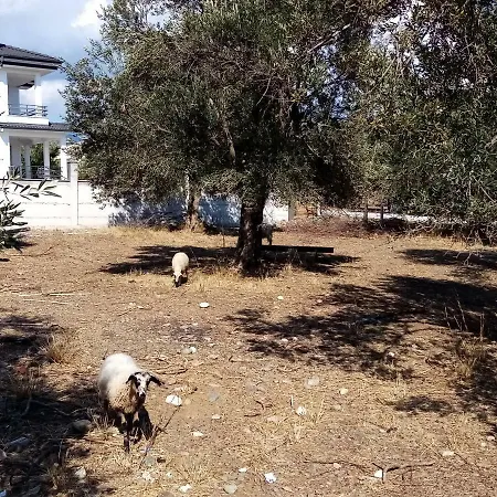 Yazduf Aile - Yazlik, Villa, Altinoluk, Akcay, Kaz Daglari Apartment
