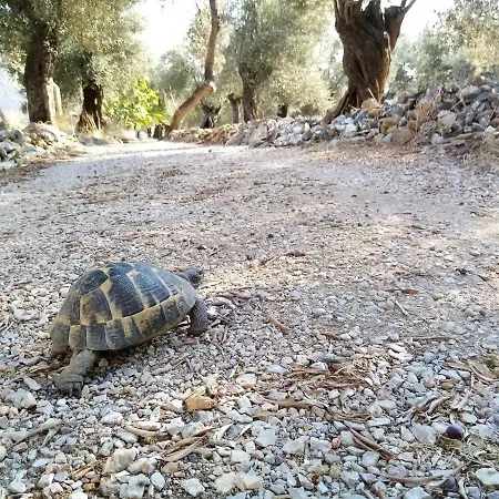Yazduf Aile - Yazlik, Villa, Altinoluk, Akcay, Kaz Daglari *